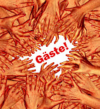2013 - Gates / Gäste!